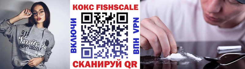 Cocaine FishScale  KRAKEN как зайти  Новодвинск 