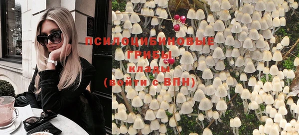 прущие грибы Алексин