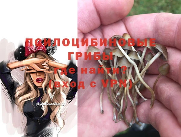 прущие грибы Алексин