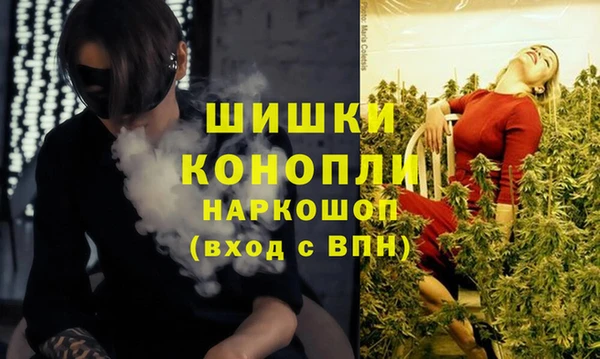 ПСИЛОЦИБИНОВЫЕ ГРИБЫ Алзамай