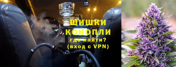 ПСИЛОЦИБИНОВЫЕ ГРИБЫ Алзамай