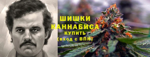ПСИЛОЦИБИНОВЫЕ ГРИБЫ Алзамай