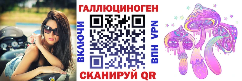 Псилоцибиновые грибы GOLDEN TEACHER  Новодвинск 
